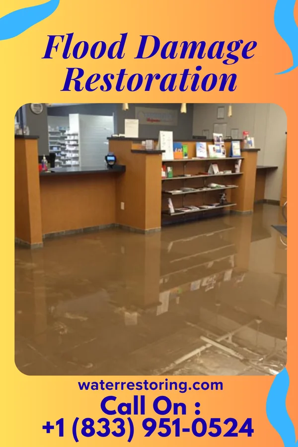Flood Damage Restoration in Lafayette, MN