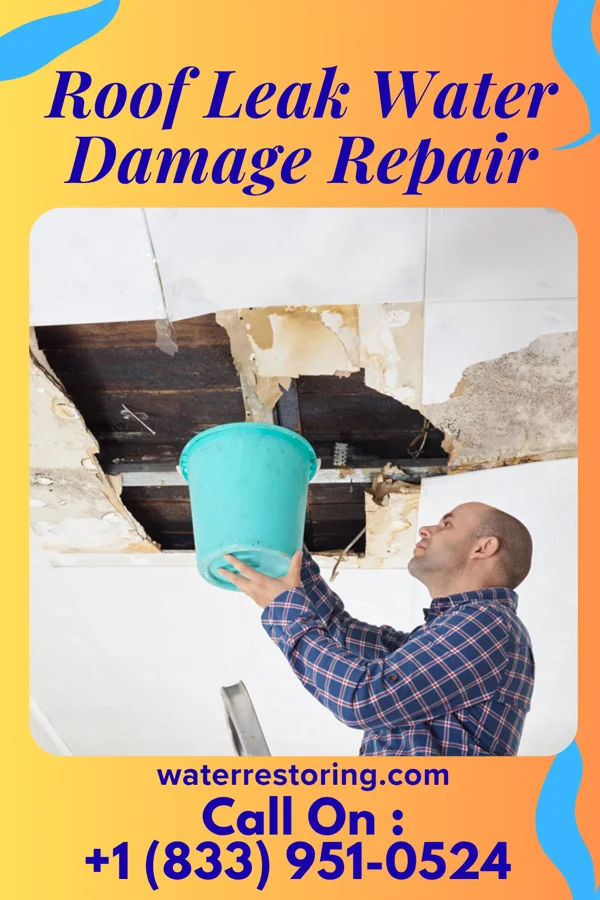 Roof Leak Water Damage Repair in Lafayette, MN