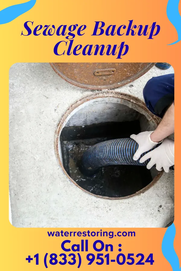 Sewage Backup Cleanup in Lafayette, MN