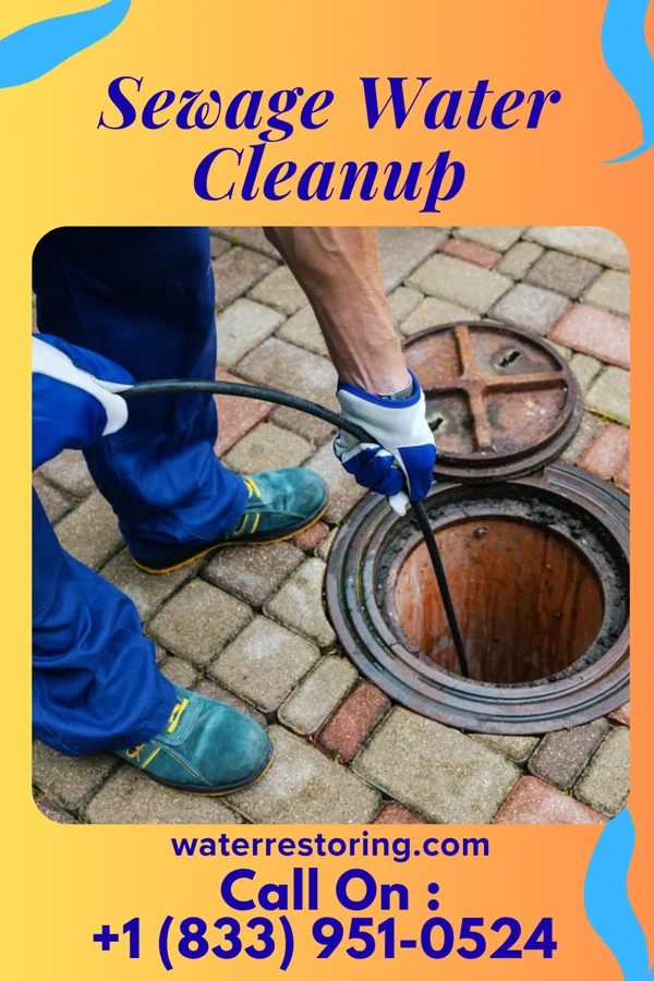 Sewage Water Cleanup in Lafayette, MN