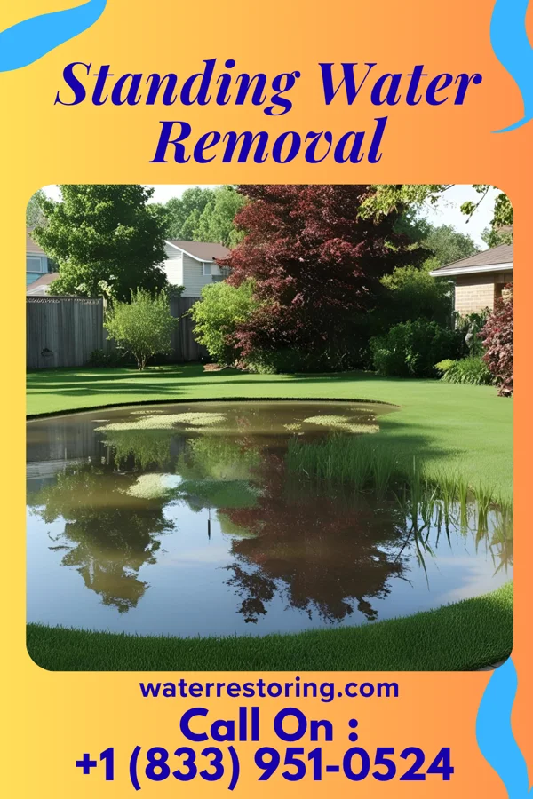 Standing Water Removal in Lafayette, MN